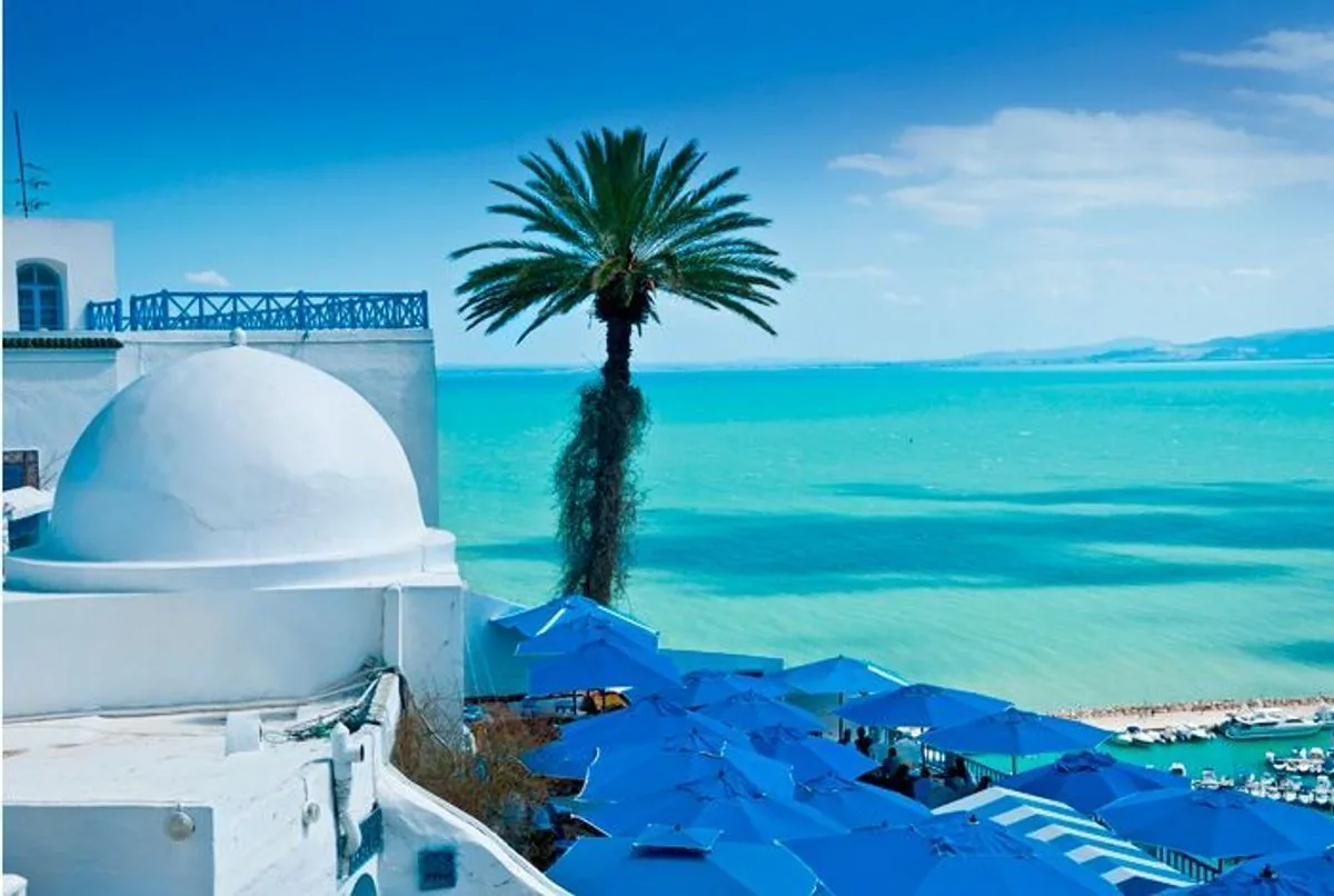 Vue sur Sidi Bou Saïd, village aux façades bleues et blanches du Grand Tunis, surplombant le golfe de Tunis